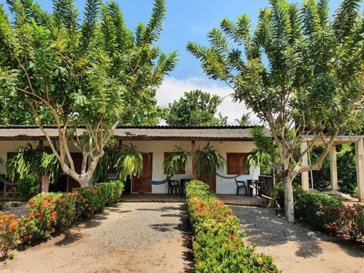 Hostal La Finquita ปาโลมิโน ภายนอก รูปภาพ