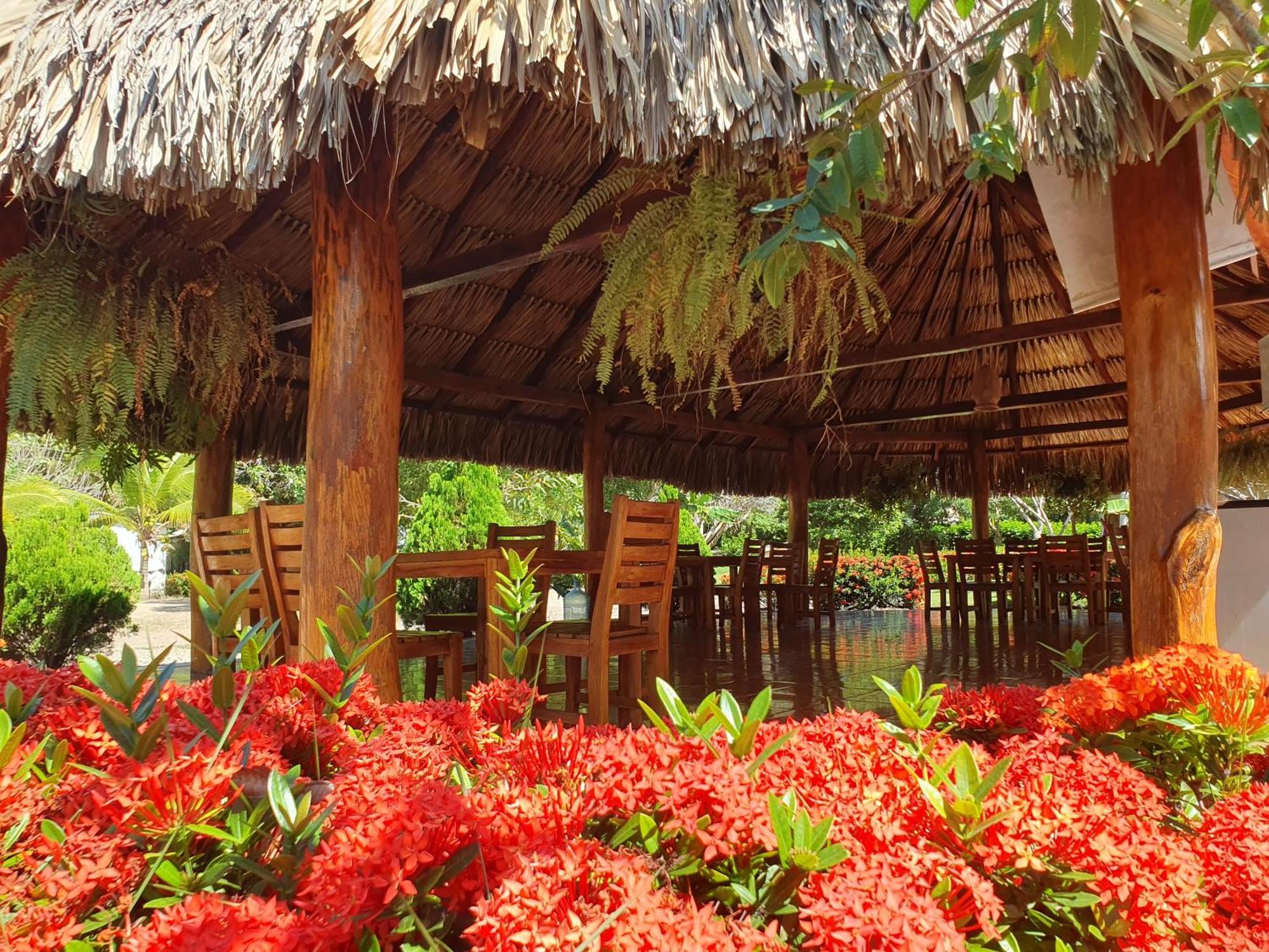 Hostal La Finquita ปาโลมิโน ภายนอก รูปภาพ